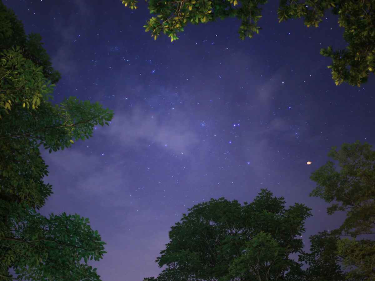 Astrology just for you! Como funciona o Mapa Astral? Significado das casas e&nbsp;elementos