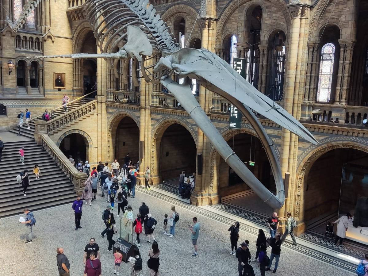 O Museu de História Natural de&nbsp;Londres